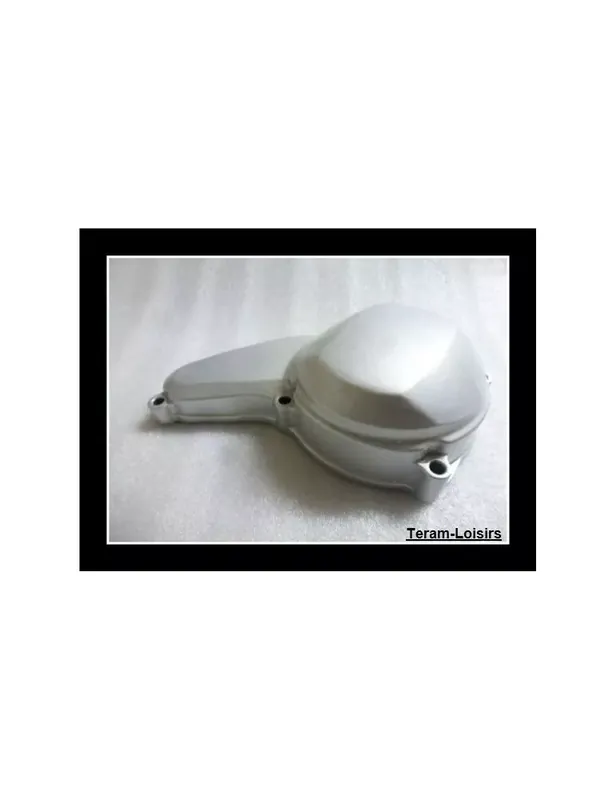 Carter Alternateur pour YAMAHA FZR 600 de 1989 à 1997 Quantité Limitée