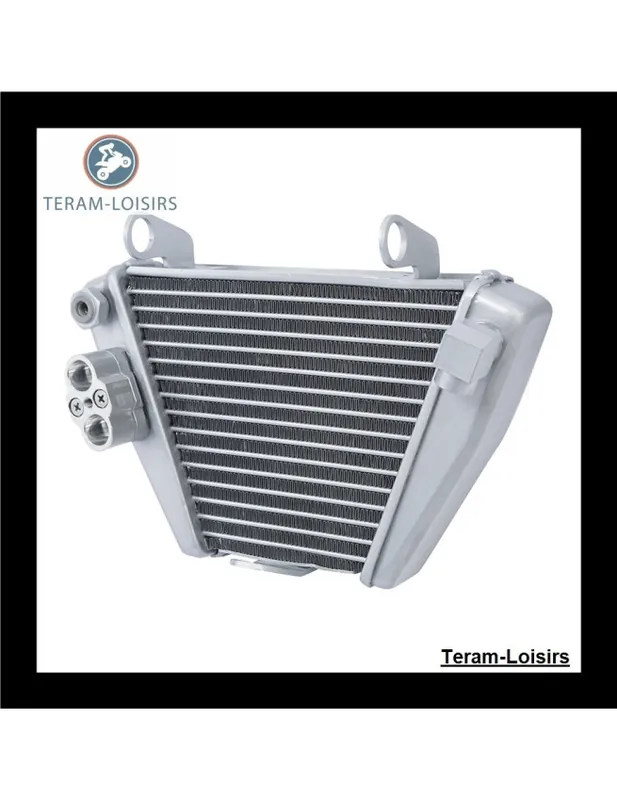 Super Prix Radiateur huile pour Ducati X-DIAVEL 1200 / S / DARK de 2016 2017 2018 2019