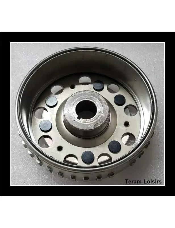 Rotor Volant Magnétique pour Polaris Ranger 570 / Crew de 2016 et 2017 Commander Vite