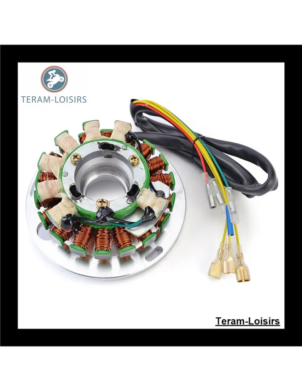Stator Alternateur pour Husqvarna TX 510 de 1983 1984 1985 1986 1987 1988 Dernière Chance