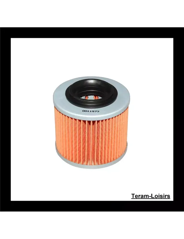 Filtre à Huile pour MZ RT 125 Classic Sport de 2003 2004 2005 NEUF Achat Immédiat