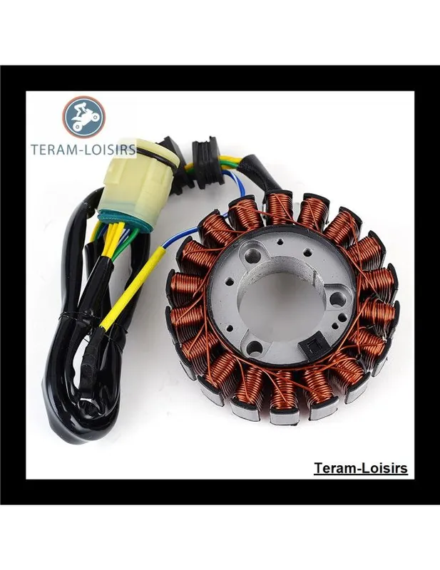 Dernier Modèle Stator Alternateur pour Honda 31120-HN7-000 / 31120-HN7-003 NEUF