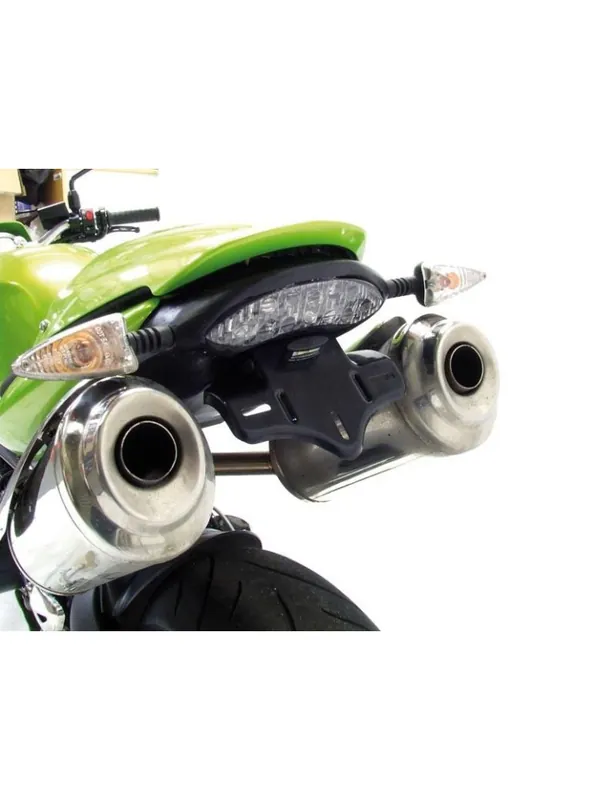 Commander Maintenant Support de plaque R&G RACING pour Speed Triple 1050 '08