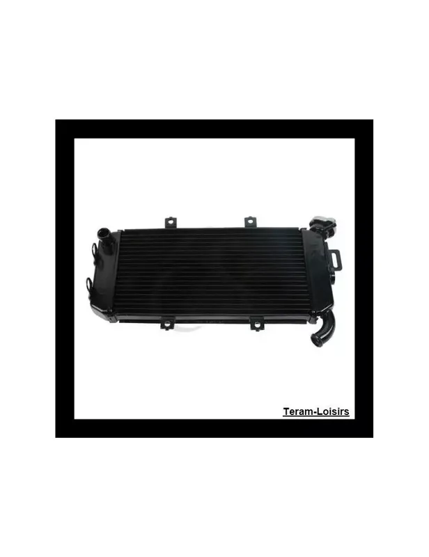 Promotion Radiateur pour Kawasaki ER6N ER-6F ER 6 NINJA 650R de 2005 2006 2007 2008 NEUF