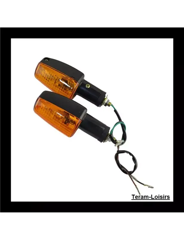 Clignotants pour HONDA VT 250 Commande En Gros