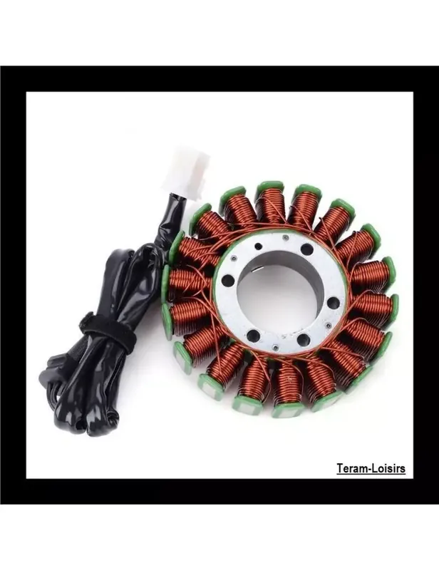 Stator Allumage pour Triumph Tiger 1050 de 2007 2008 2009 2010 2011 2012 NEUF Retour Gratuit