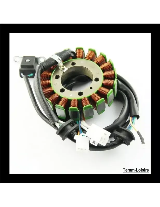 Offre Du Jour Stator Allumage Alternateur pour Yamaha 600 TT de 1994 à 2004 NEUF