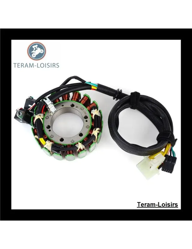 Stator Alternateur pour Polaris 600 HO IQ EFI L/C à partir de 2009 NEUF Solde