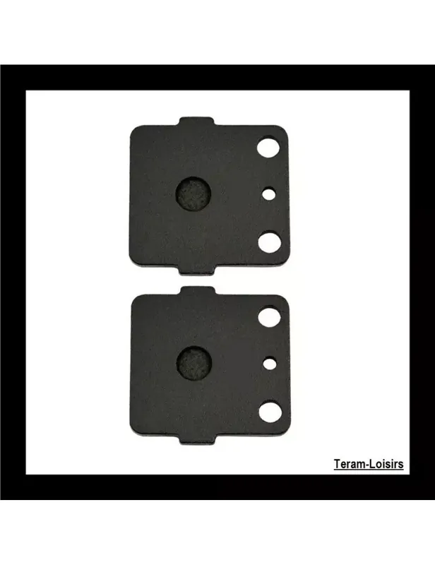 Plaquettes de Frein Avant pour HONDA TRX 420 FPA9/FPAA/FPAB de 2009 à 2011 Expédition Rapide