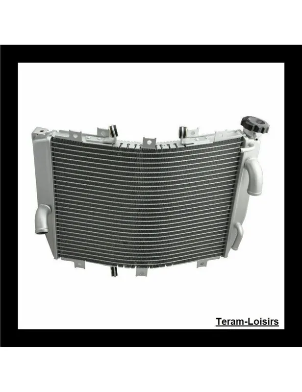 Soldes Radiateur pour Kawasaki ZX10R de 2004 à 2005 / Type 39061-0041 / NEUF