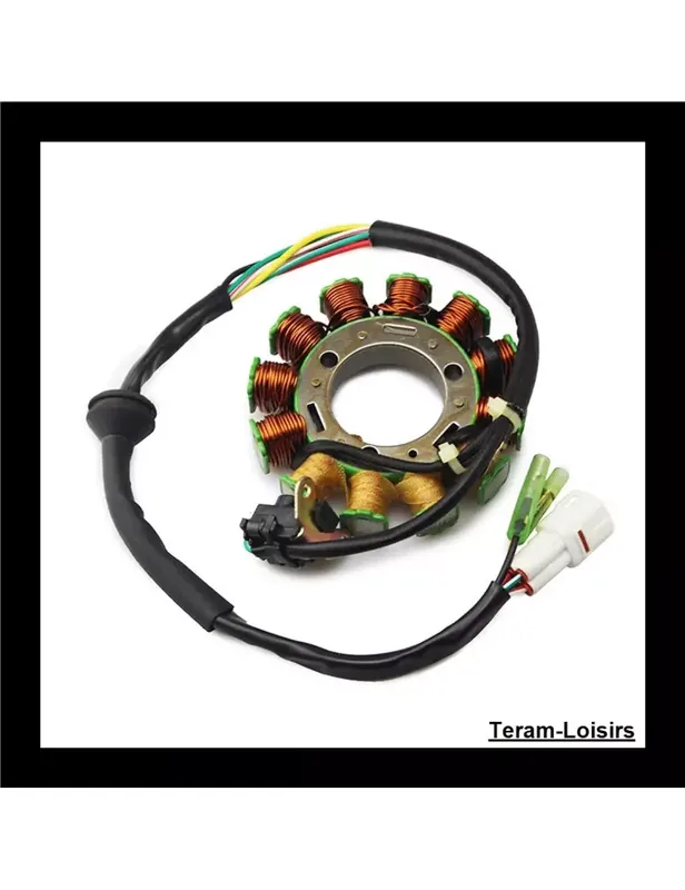 Stator Allumage pour Yamaha BANSHEE 350 YFZ 350 de 1995 à 2006 Bon Marché