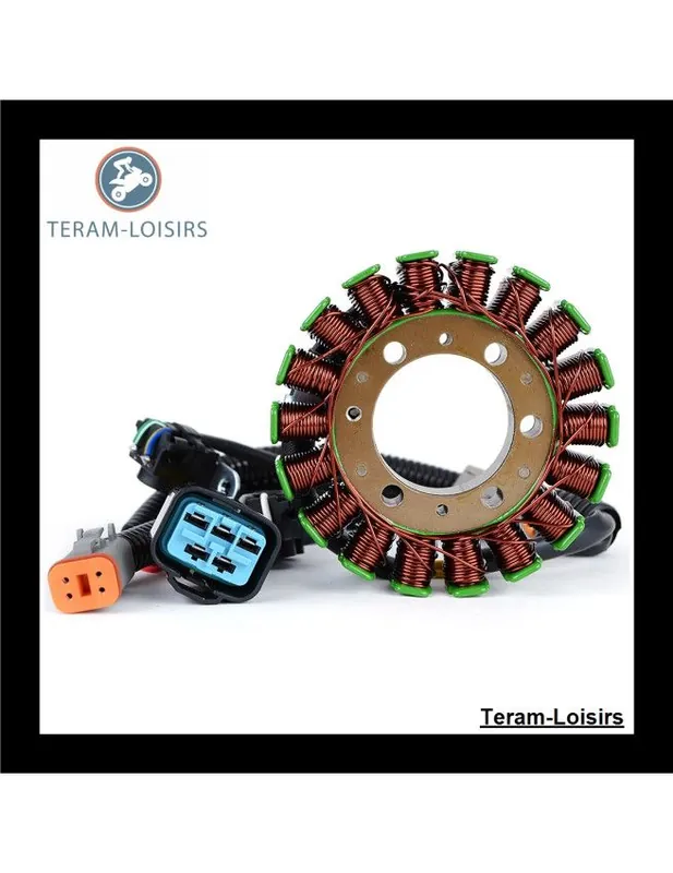 Acheter En Ligne Stator Alternateur pour Ski-Doo GSX 800 R Limited Carb à partir de 2008 NEUF