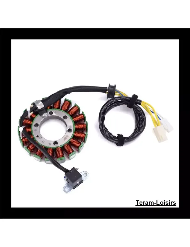 Satisfait Ou Remboursé Stator Allumage pour Suzuki 32101-45G00 / 32101-45G10 / 32101-45G11