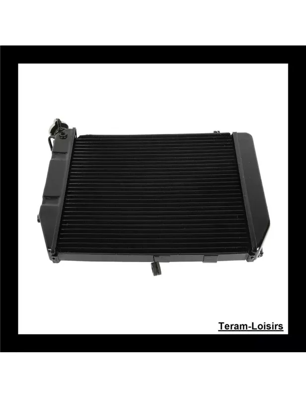 Seulement Aujourd'hui Radiateur pour YAMAHA R1 de 2000 2001