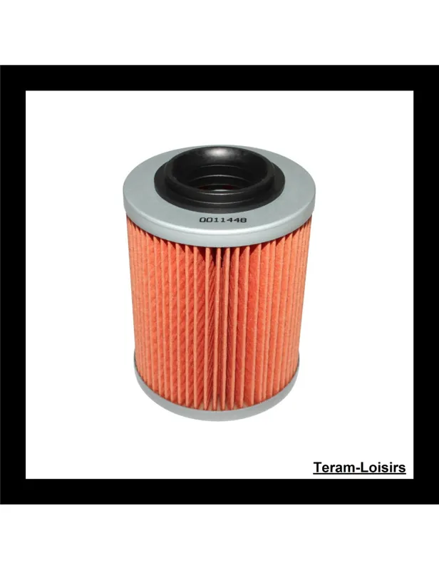 Authentique Filtre à Huile pour CAN AM OUTLANDER 570 L à partir de 2016