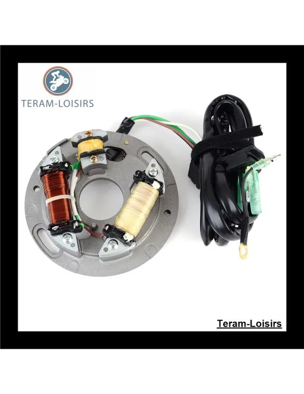 Stator Alternateur pour Yamaha WRB 700 S Wave Runner PRO VXR de 1993 1994 NEUF Marque