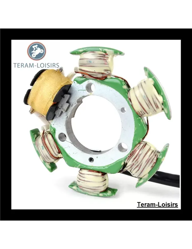 Commande En Gros Stator Alternateur pour Yamaha Waverunner GP 1200 de 1997 1998 1999 NEUF