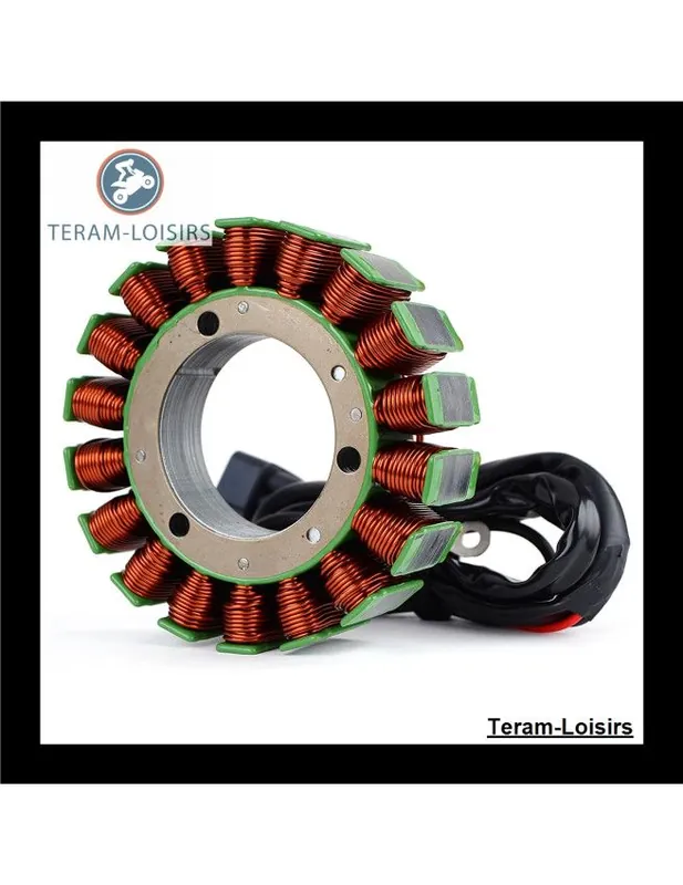 Offre Spéciale Stator Alternateur pour Yamaha F 40 / F40 de 2006 2007 2008 2009 2010 2011 2012 2013 2014 2015 2016 2017 NEUF