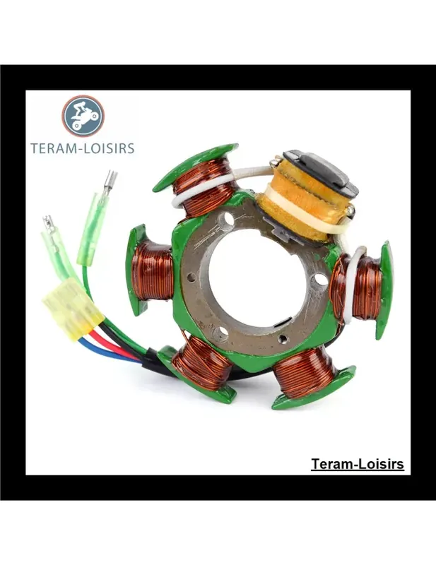 Usine Directe Stator Alternateur pour Yamaha Wave Raider 1100 de 1995 1996 NEUF