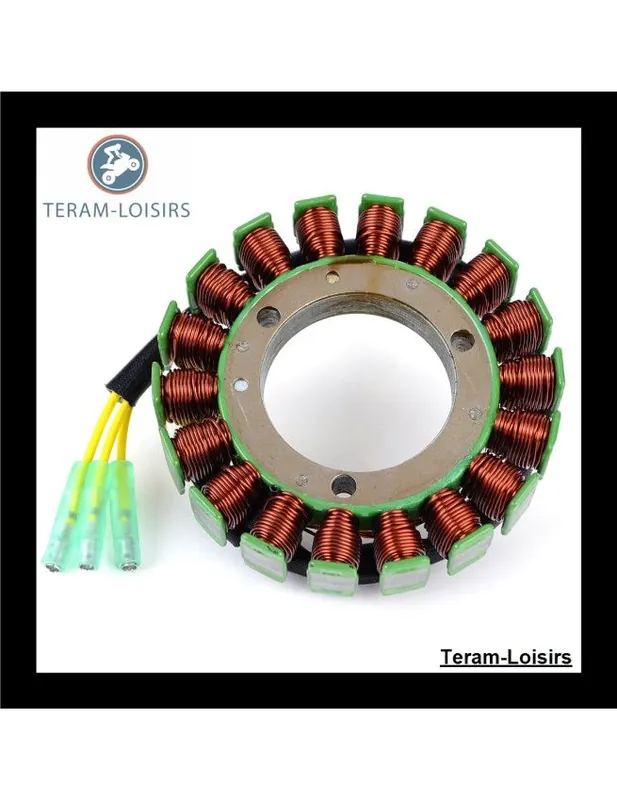 Stator Alternateur pour Tohatsu MFS 30 B de 2006 2007 2008 2009 NEUF Meilleur Prix