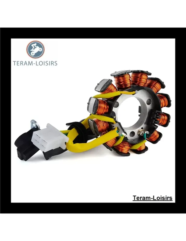 Soldes Stator Alternateur pour Honda CBR 150 / R de 2004 2005 2006 2007 2008 2009 2010