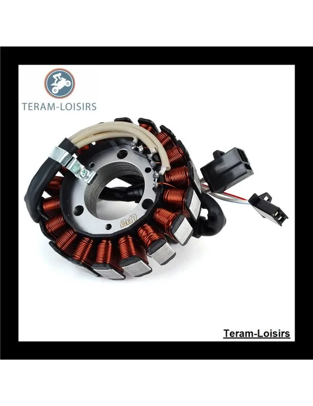 Top Vente Stator Alternateur pour Yamaha XC 125 Cygnus de 2004 2005 2006 2007 2008 2009 2010 2011