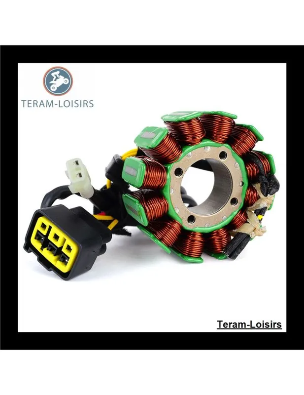 Prix Bas Stator Alternateur pour TM Racing MX 450 4Temps de 2013 2014 2015 2016 2017 2018 2019