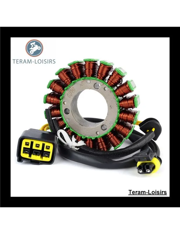 Stator Alternateur pour TM Racing EN 250 / 300 2Temps de 2019 2020 Promotion Saisonnière
