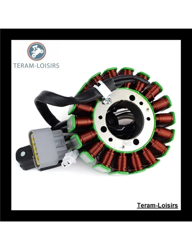 Offre Exclusive Stator Alternateur pour Yamaha 1000 Sidewinder S TX 137 DX de 2017 2018