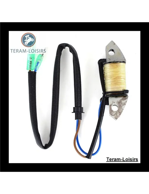 Stator Alternateur pour Yamaha 40V M(H/E/T)OS/L de 2000 2001 et de 2007 2008 2009 2010 2011 2012 2013 Super Prix