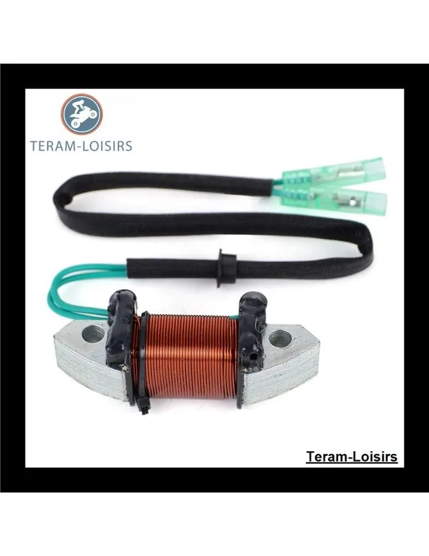 Top Vente Stator Alternateur pour Yamaha 40 MS / L / ULH de 1991 1992 1993 1994