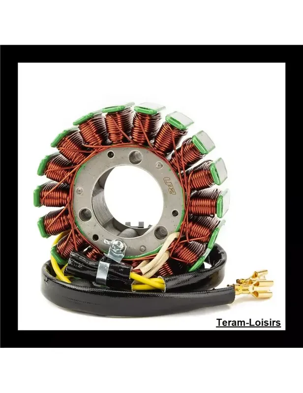Marque Stator Allumage pour KTM 250 Duke ABS à partir de 2015
