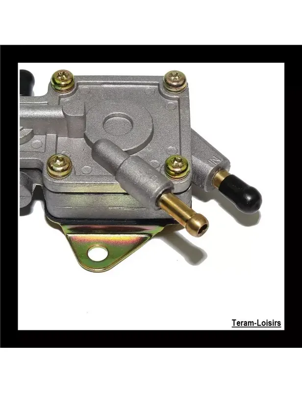 Pompe à Essence pour Polaris Sportsman 700 de 2002 à 2007 Commander Maintenant