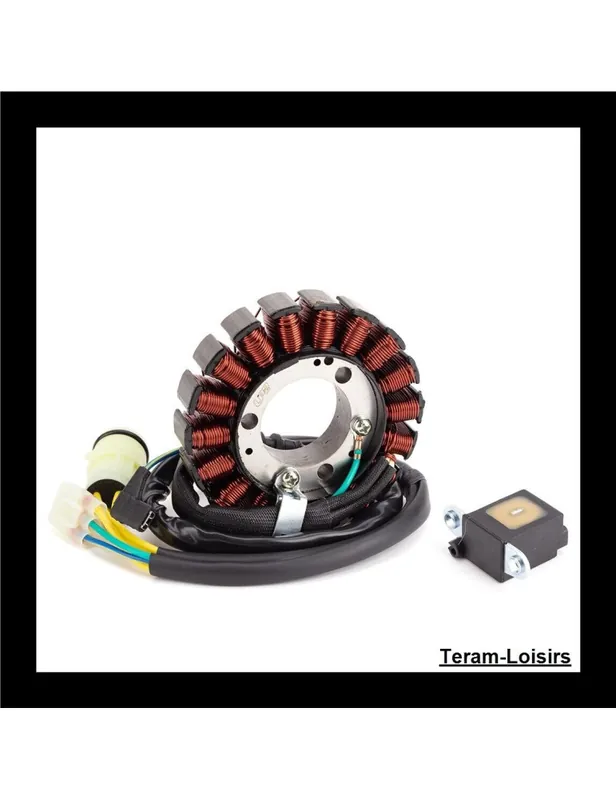 Vente Flash Stator Allumage pour HONDA TRX 300 FOREMAN 2X4/4X4 de 1988 à 2000