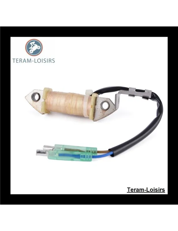 Stator Alternateur pour Yamaha 15 HP F15 PS / LR de 2001 2002 2003 2004 2005 2006 Prix Promo