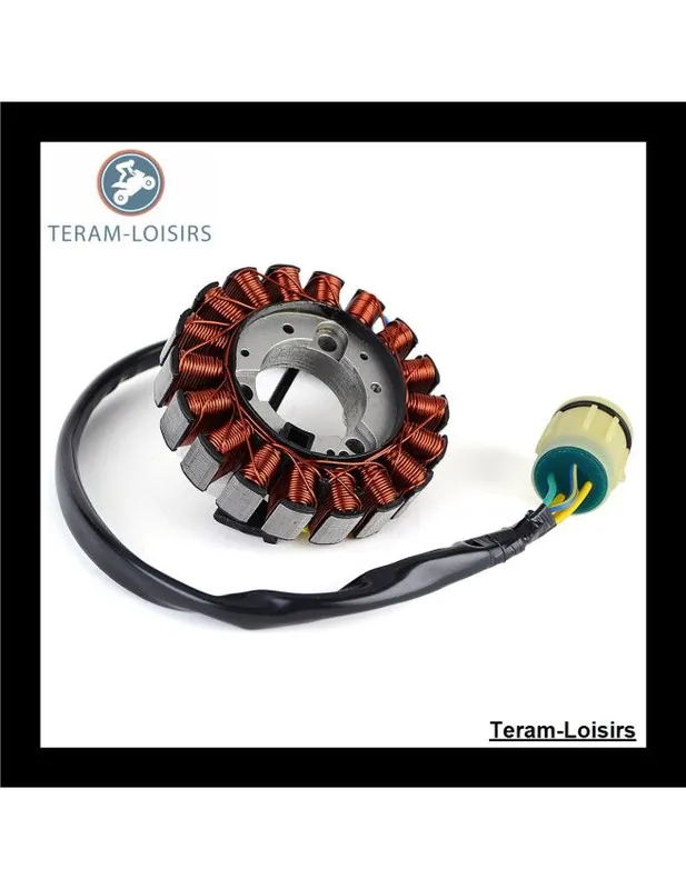 Acheter Direct Stator Alternateur pour Honda TRX 350 FE2 FourTrax ES à partir de 2002