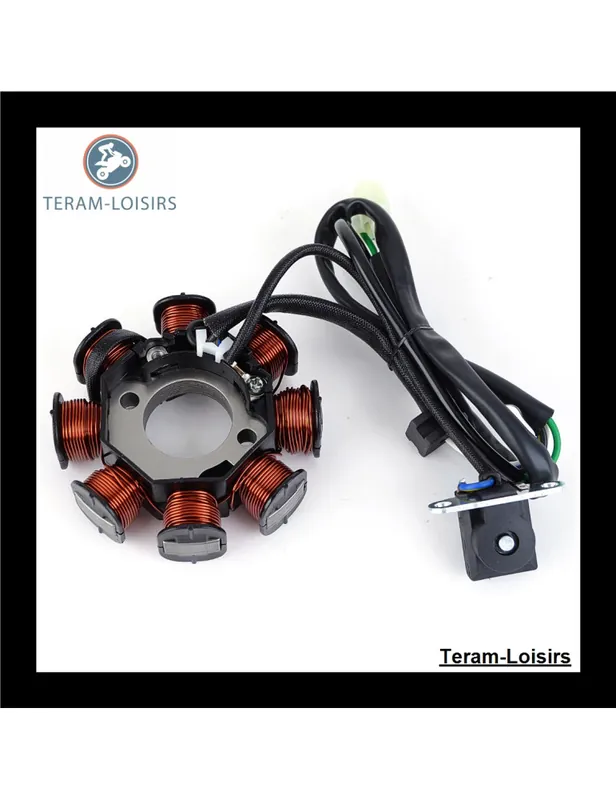 Achetez Aujourd&rsquo;hui Stator pour Kawasaki 21003-0066 / 21003-0116