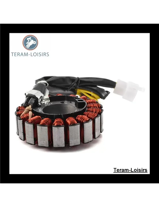 Stator Alternateur pour Honda FES 250 Foresight de 1998 1999 2000 2001 2002 2003 2004 2005 Meilleur Choix