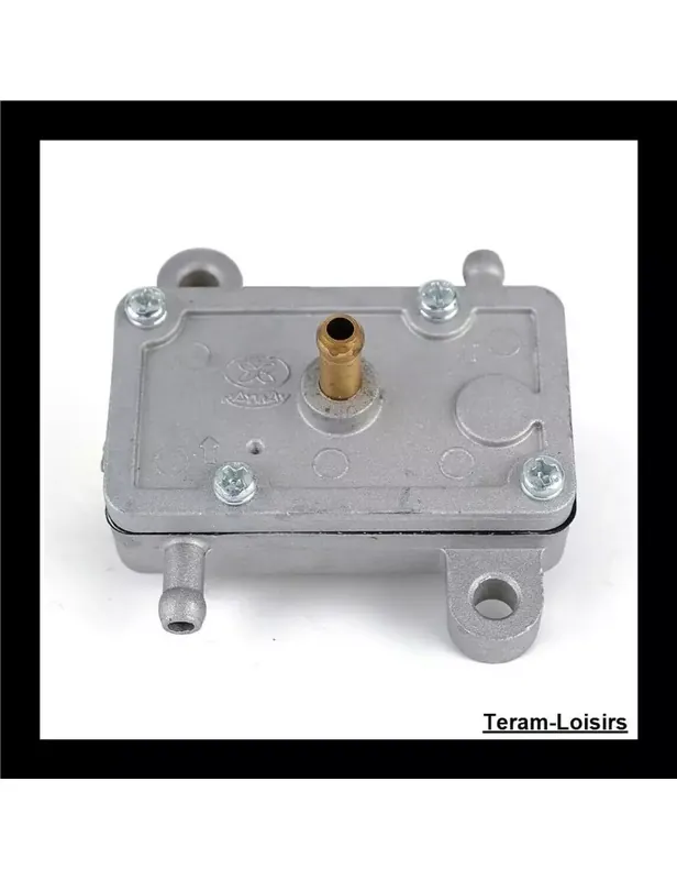 Vente Flash Pompe à Essence pour Polaris Starlite de 1991