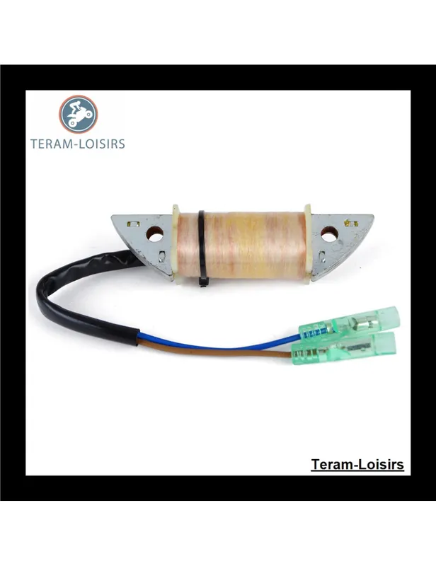 Vente Flash Stator Allumage pour Yamaha 9.9HP 9.9F (E)MHS / L de 1995 1996 1997 1998 1999