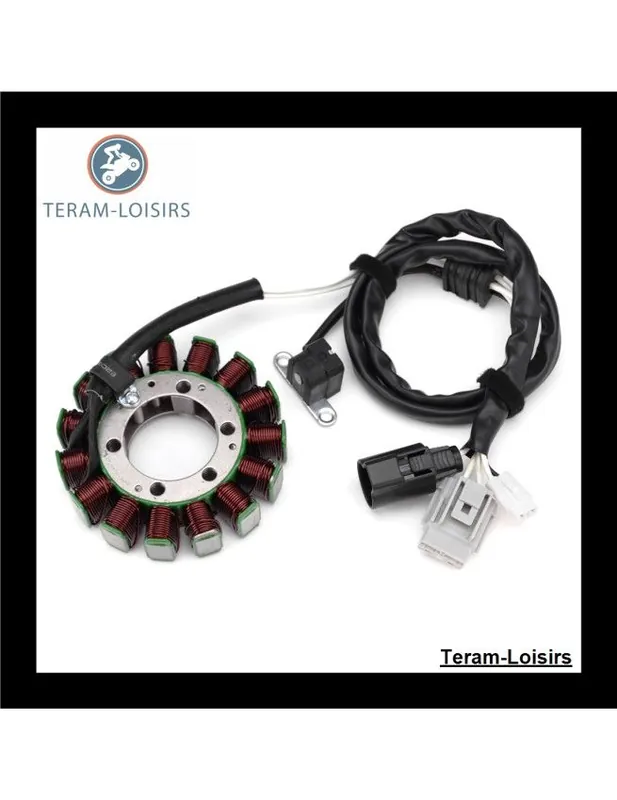 Promotion Saisonnière Stator Alternateur pour Yamaha YXM 700 Viking de 2014 2015 2016 2017