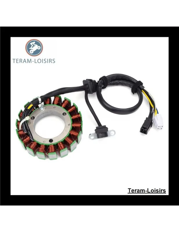 Meilleur Choix Stator Alternateur pour Arctic Cat 366 de 2008 2009 2010 2011