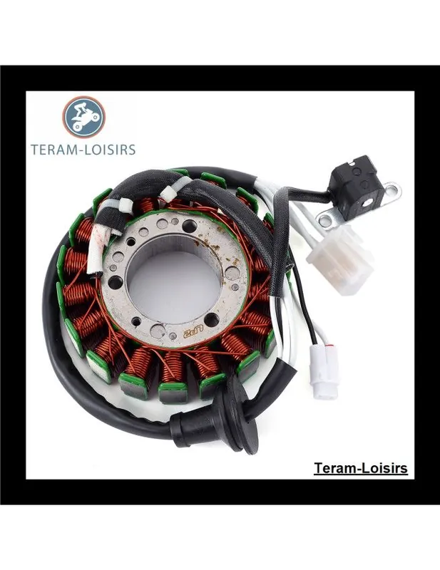 Super Prix Stator Alternateur pour Yamaha SX Venom 600 ER de 2004 2005