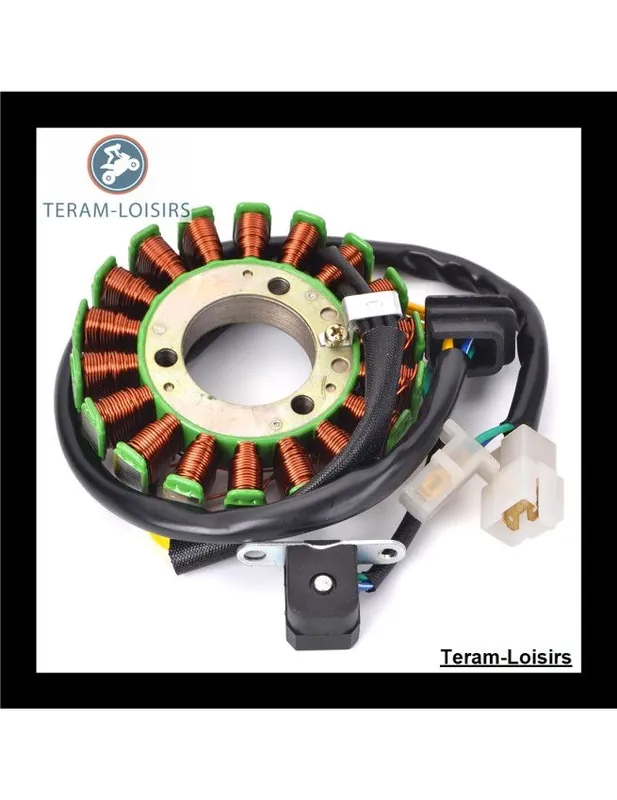 Stator Alternateur pour Suzuki GN 250 de 1982 1983 1984 1985 1986 1987 1988 1989 1990 1991 1992 1993 1994 1995 à 2001 Promotion