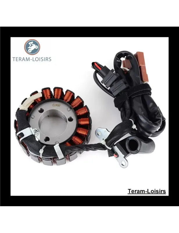Authentique Stator pour Peugeot Geopolis 250 de 2006 2007 2008 2009 2010 2011