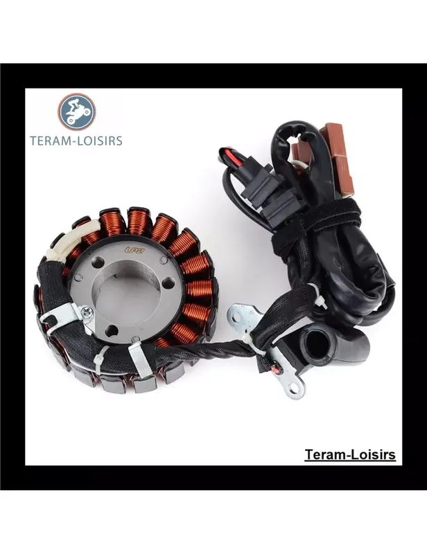 Seulement Aujourd'hui Stator pour Aprilia SR 300 Max de 2011 2012 2013 2014