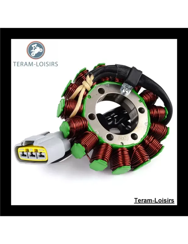 Achetez Aujourd&rsquo;hui Stator Alternateur pour Kawasaki ZX 1000 Ninja ZX 10R ZX 1000 E9FA à partir de 2009