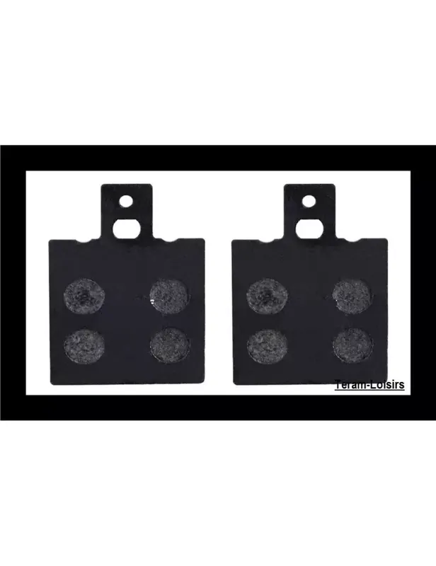 Vente Flash Plaquettes de Frein Arrière pour MOTO GUZZI 1100 Sport Carbs de 1994 à 1996