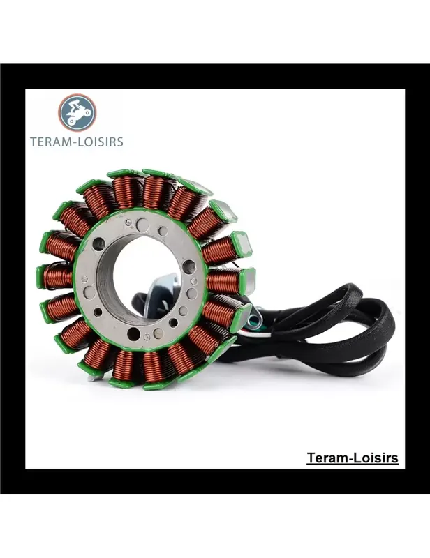 Vente Directe Stator pour Yamaha SX 230 de 2004 2005 2006
