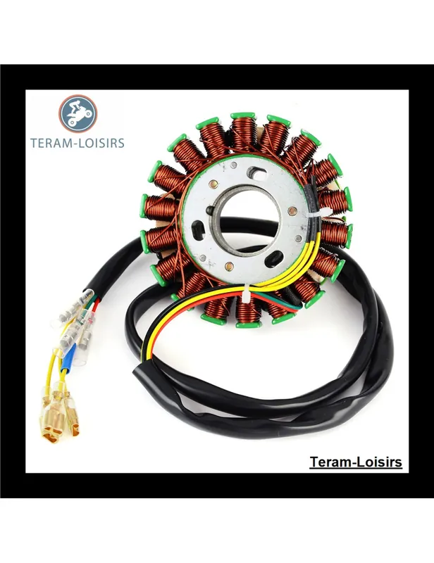 Offre Spéciale Stator pour Husaberg 350 E de 1991 1992 1993 1994
